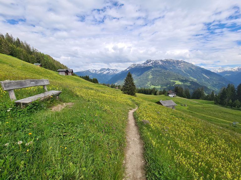 Wanderführung, Wanderführerin, Kräuterwanderung, Stefanie Peiker, Montafon, Rellseck