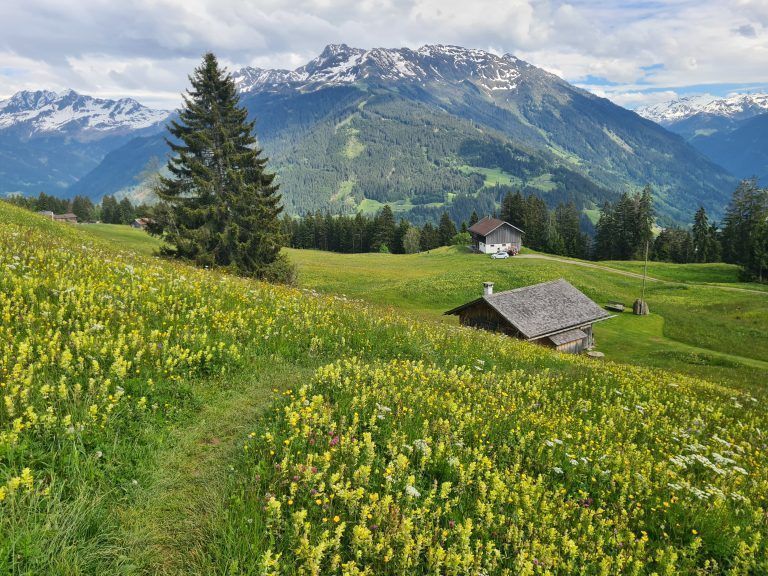 Wanderführung, Wanderführerin, Kräuterwanderung, Stefanie Peiker, Montafon, Rellseck