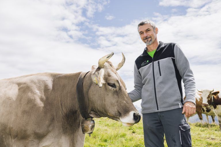 Andreas Bitschnau Kuh Montafon