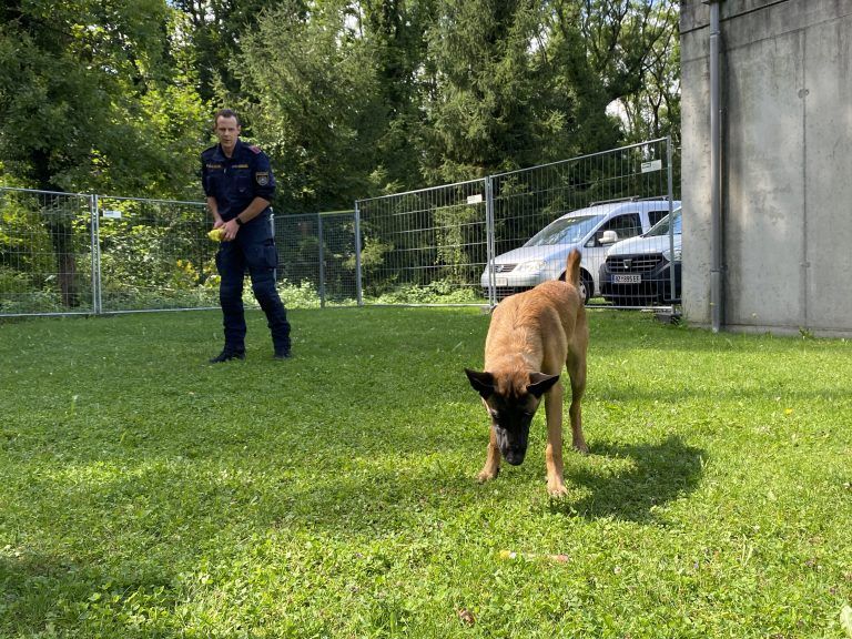 Polizeiserie: Hundestaffel Ausbildung