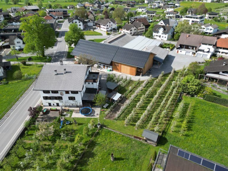 Familie Rauch, Viehzuchtverein Schlins, 100 Jahre Jubiläum