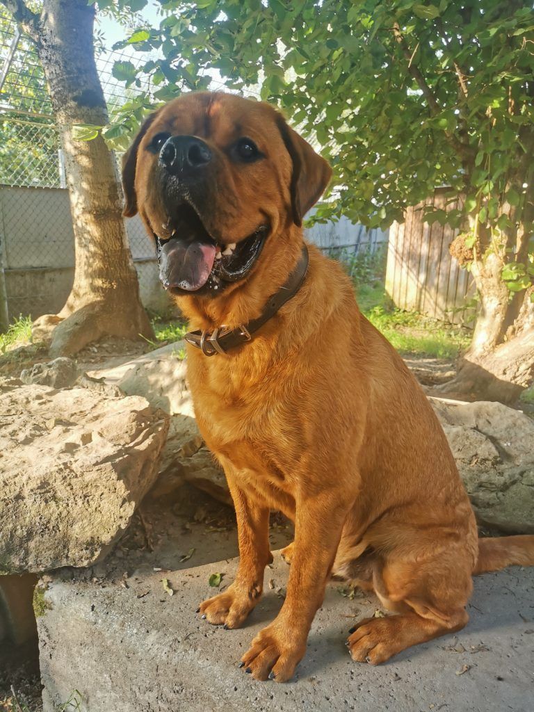 Tierecke KW23