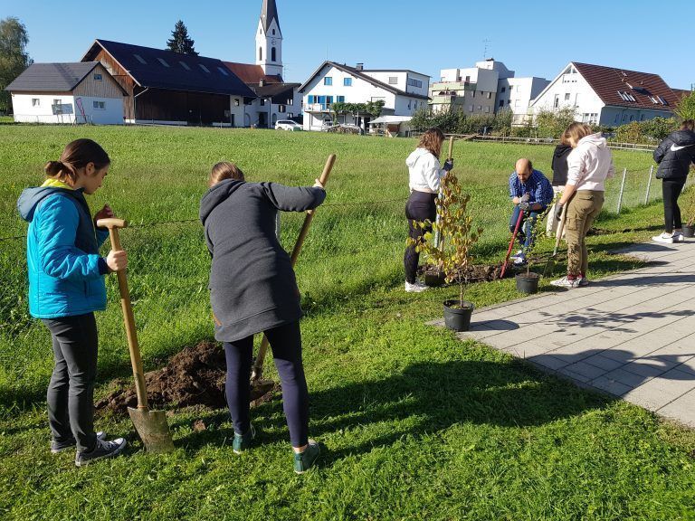 Naturschutzbund; Natur im Siedlungsraum; BORG Lauterach; Bianca Burtscher; Maya Merten