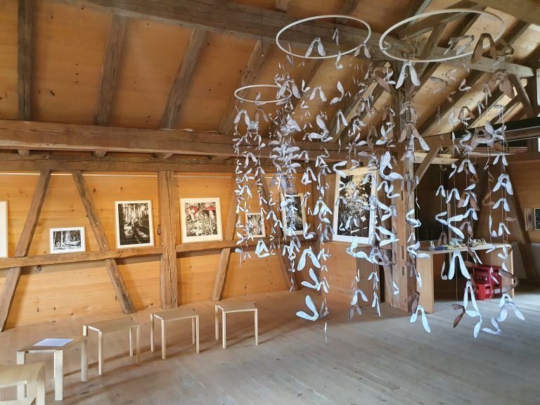 Michaela Ortner-Moosbrugger
