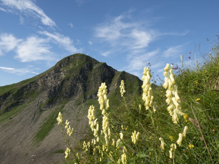 Wanderserie Heide Bechtold Stafelalpsee