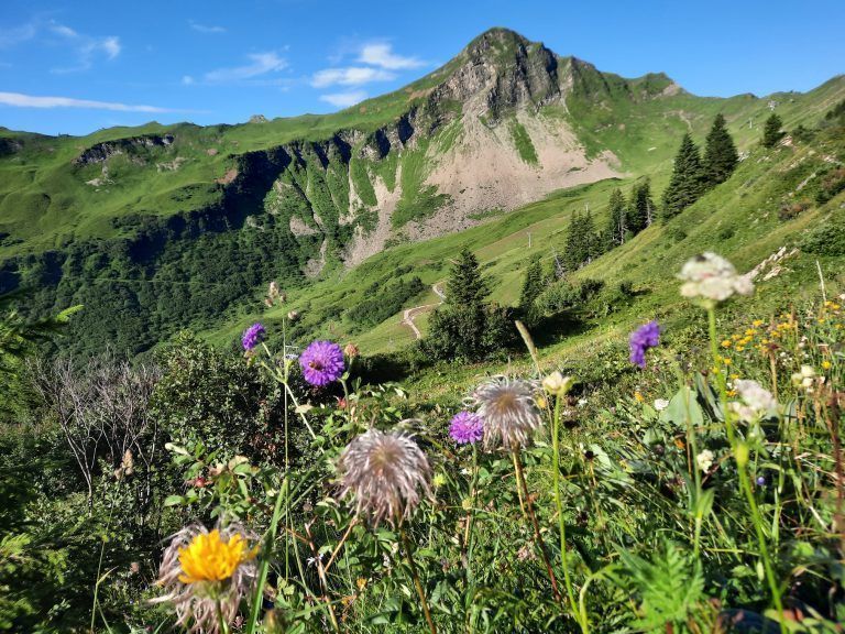 Wanderserie Heide Bechtold Stafelalpsee