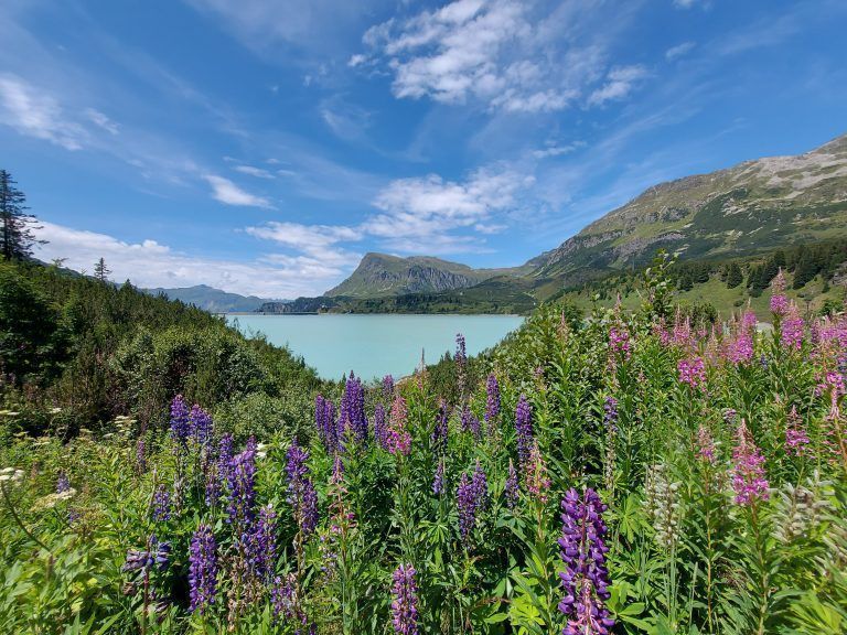 Heike Bechtold Wanderserie Teil 3 Stausee Kops und ­Zeinissee