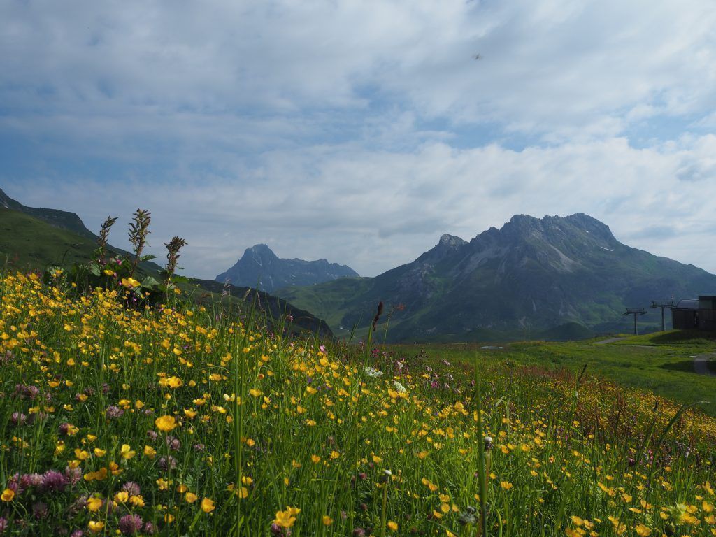 Zwischen Mohnenfluh und Braunarlspitze