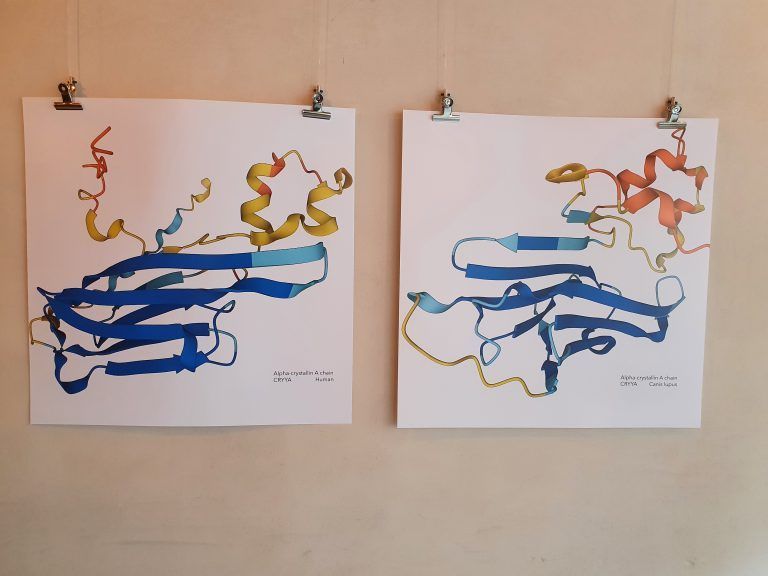 Ausstellung Galerie 9und20 Elsbeth Gisinger Fessler