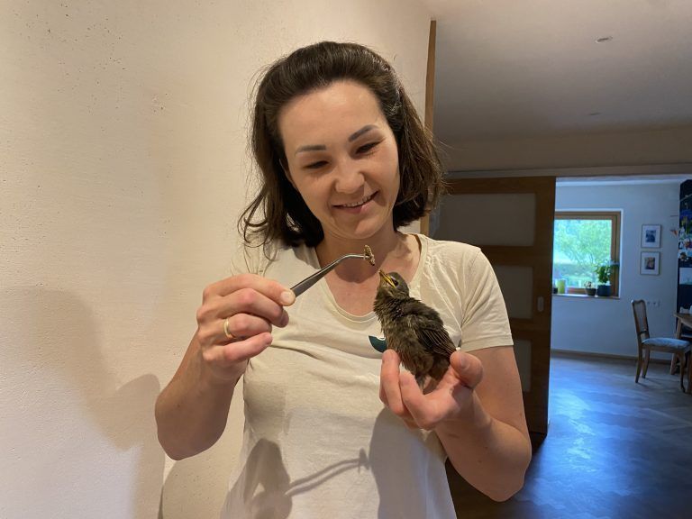 VDT Katharina Feurstein Wildtierhilfe