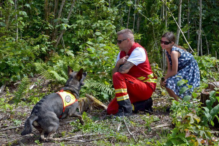 Sicherheitstag, Schauübung der Rettungs- und Suchhunde, 150 Jahre Ortsfeuerwehr Schruns, Aktivpark Montafon