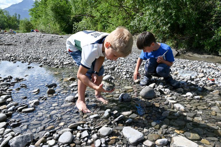 Volksschüler gingen auf die Suche nach kleinen Wasserlebewesen, die sich gerne unter den Steinen verstecken. - © bvs