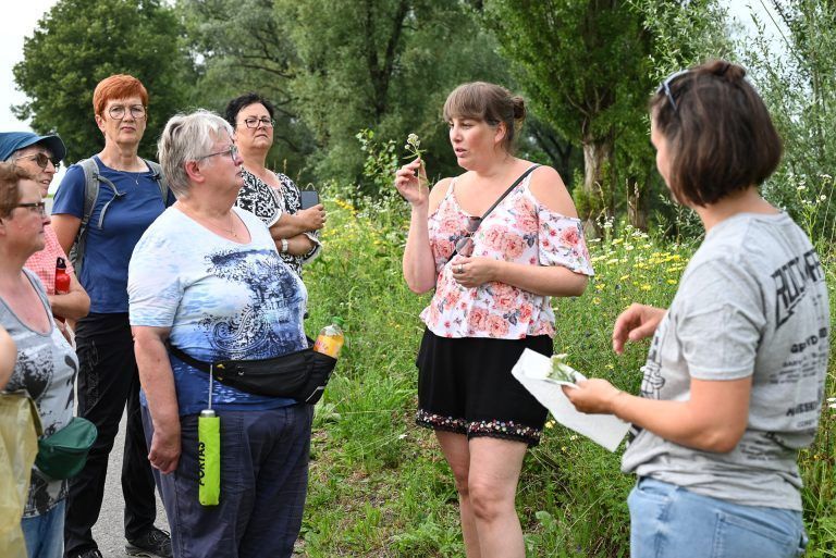 Den Schätzen der Natur auf die Spur kommen. Der OGV veranstaltete eine Kräuterwanderung entlang des Rheins. - © bvs