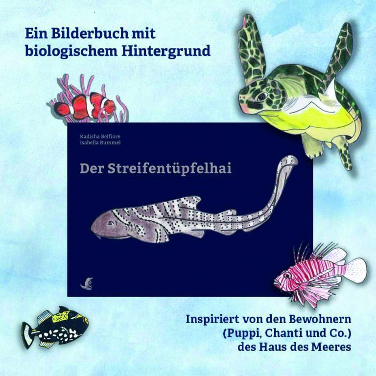 Isabella Rummel; kadisha Belfiore; Buch am Bach; Buch am Bach 2024; Buch "Der Streifentüpfelhai"