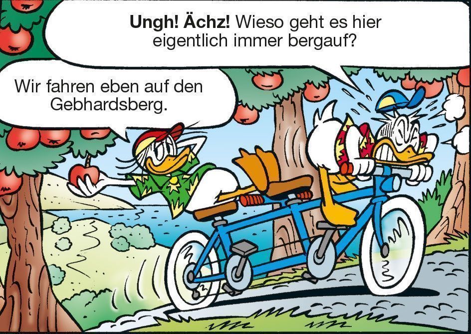 Donald Duck kommt an den Bodensee