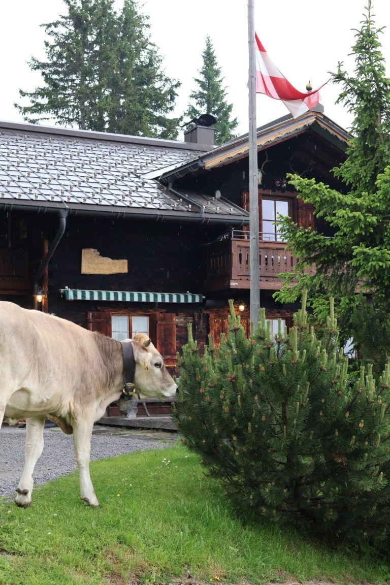 Trainingslager Montafon