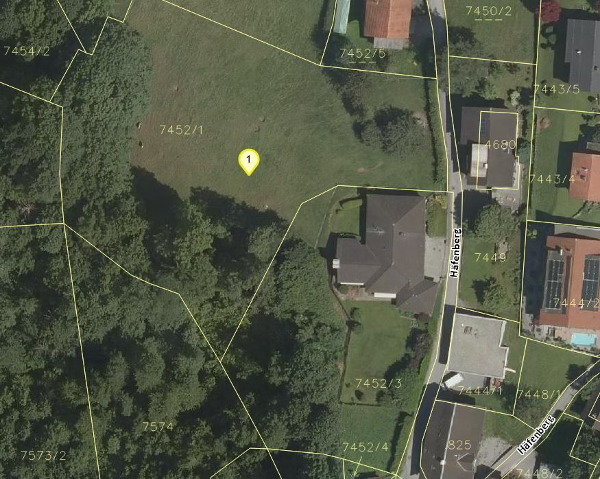 Land Vorarlberg: data.vorarlberg.gv.at, BEV (DKM)