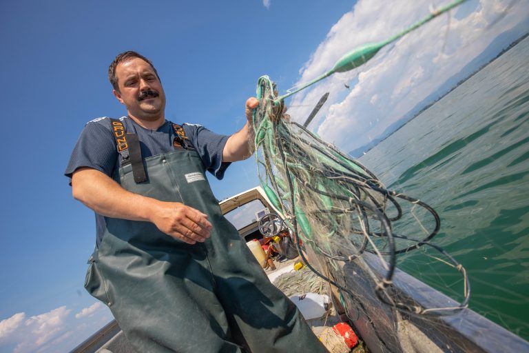 Bodenseehochwasser ist vielleicht für die Fisch'