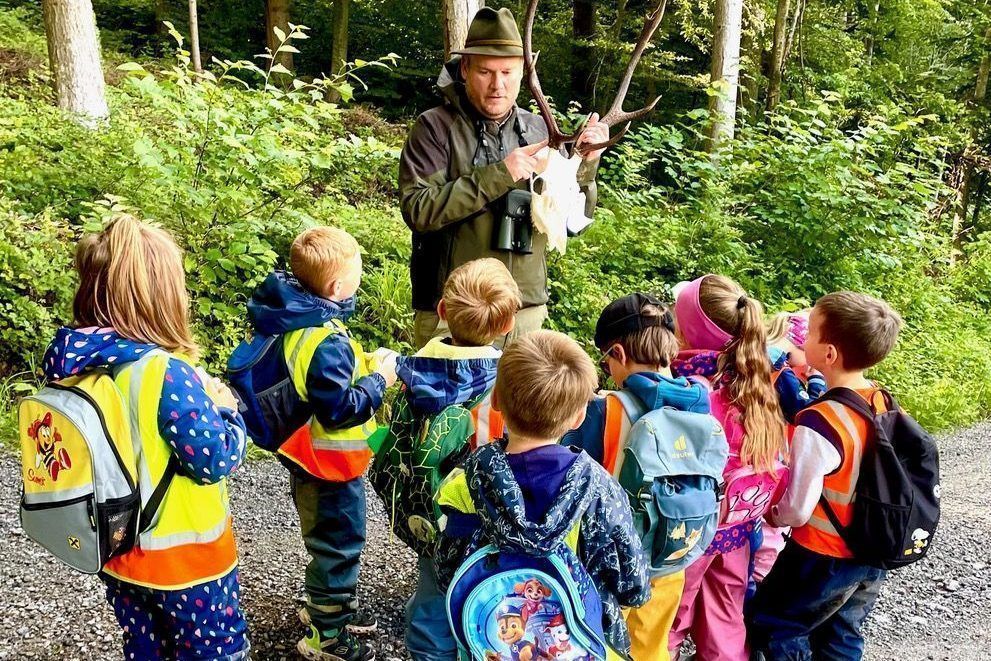 Auf Entdeckungsreise im Wald