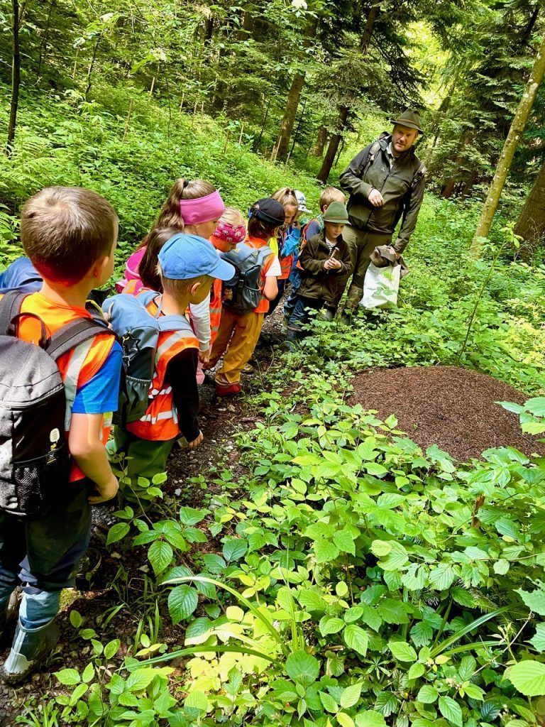 Schülerkinder Kindergarten Knie