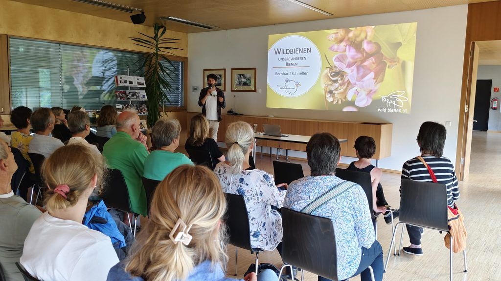 Wo Wildbienenvielfalt zu Hause ist