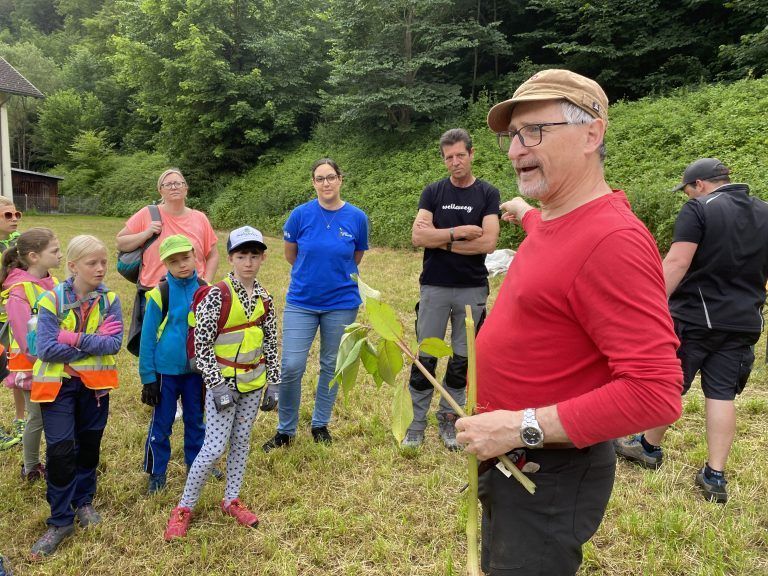 Neophyten-Projekt, Volksschule St. Anton, Alpenvereinsjugend