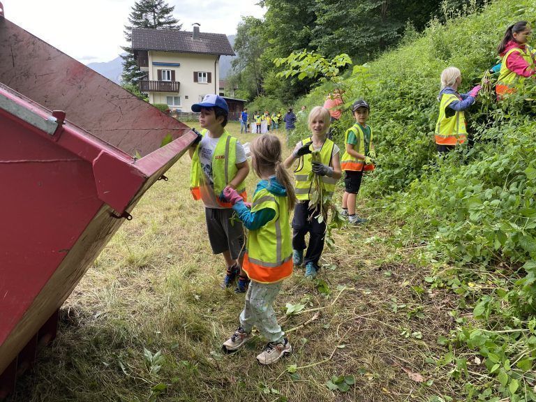 Neophyten-Projekt, Volksschule St. Anton, Alpenvereinsjugend