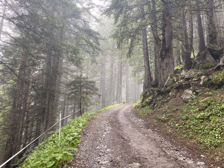 Everesting, Alpin8