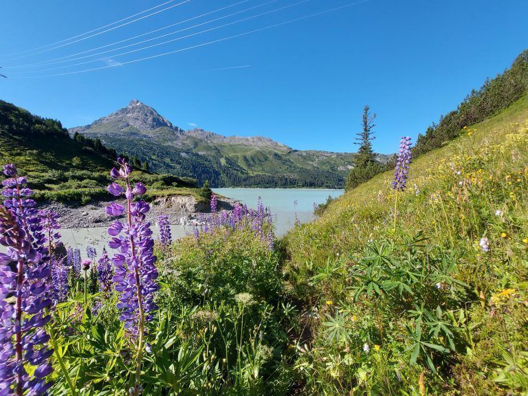 Heike Bechtold Wanderserie Teil 3 Stausee Kops und ­Zeinissee