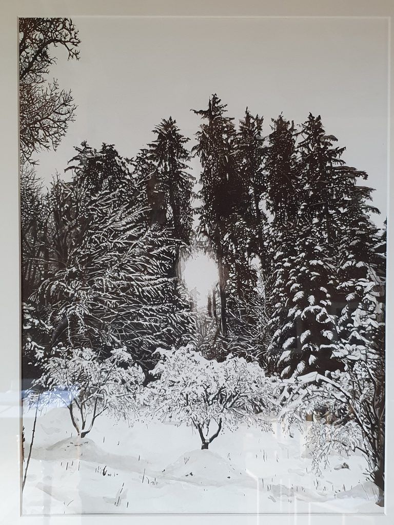 Michaela Ortner-Moosbrugger