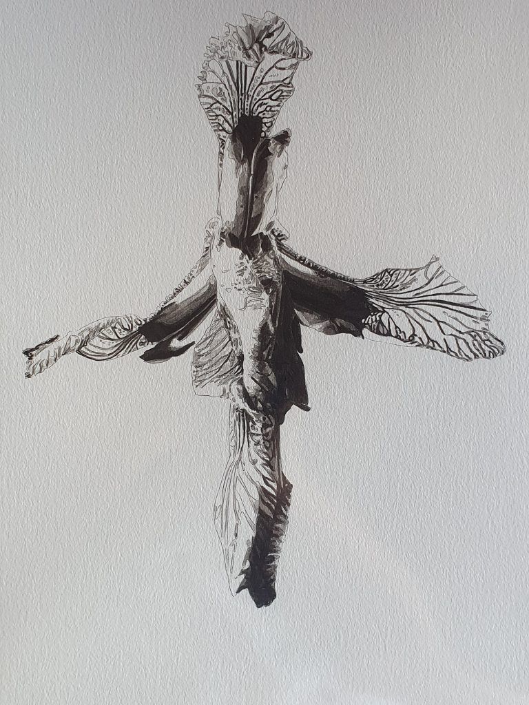 Michaela Ortner-Moosbrugger