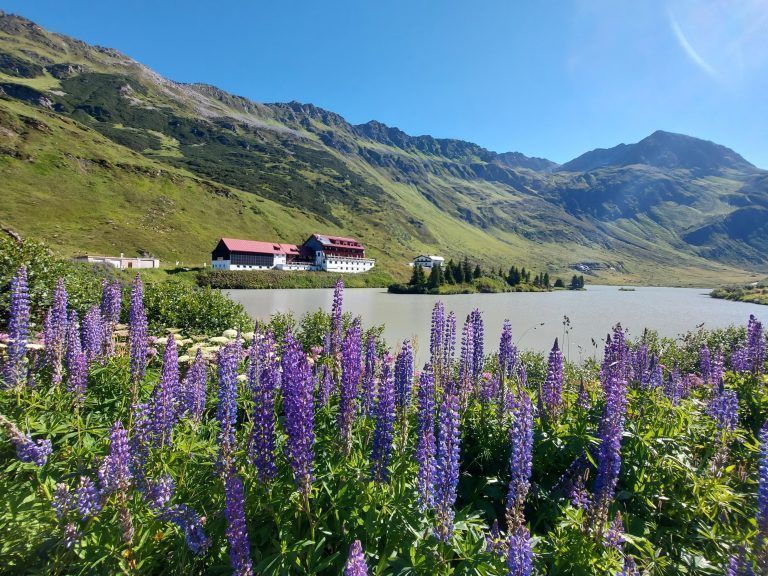 Heike Bechtold Wanderserie Teil 3 Stausee Kops und ­Zeinissee