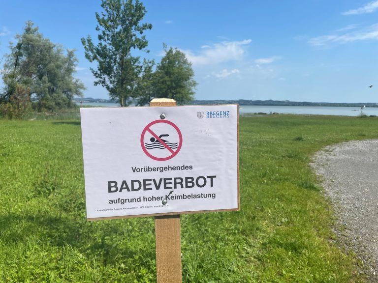 Badeverbot Seecamping Bregenz