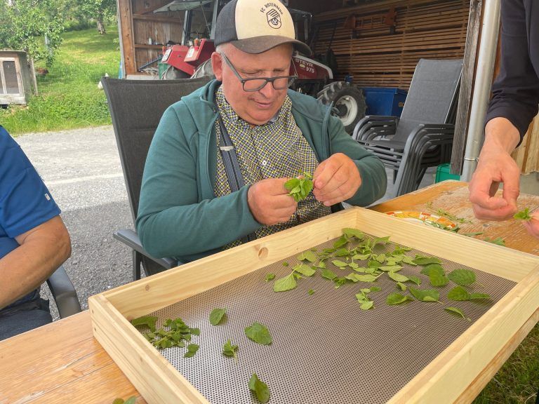 Green Care Projekt