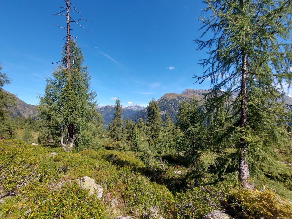 Bilderbuchlandschaft mit Gipfeloption