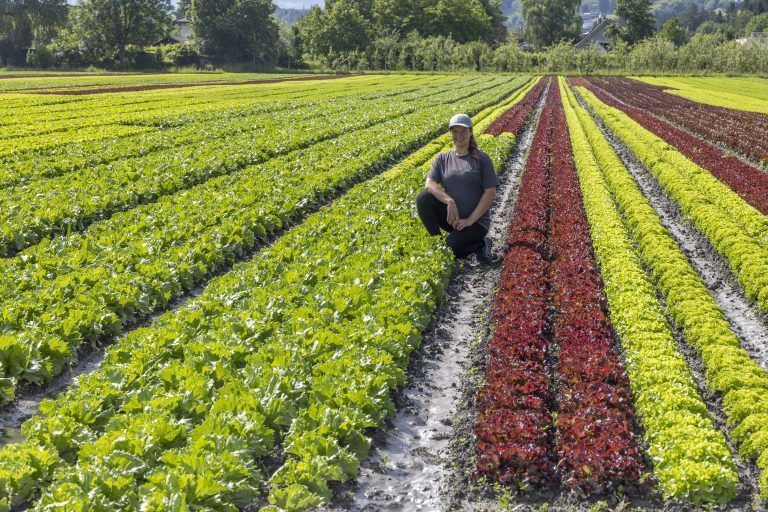 Gemüseanbau in Vorarlberg – Entwicklung, Chancen und Potenziale mit Josef Moosbrugger (LK-Präsident), Harald Rammel (LK-Gemüsebauexperte) und Fabienne und Walter Gehrer, Jungpflanzen und Gemüsebau Gehrer