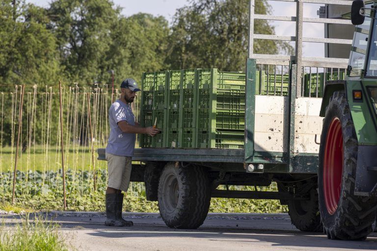 Gemüseanbau in Vorarlberg – Entwicklung, Chancen und Potenziale mit Josef Moosbrugger (LK-Präsident), Harald Rammel (LK-Gemüsebauexperte) und Fabienne und Walter Gehrer, Jungpflanzen und Gemüsebau Gehrer