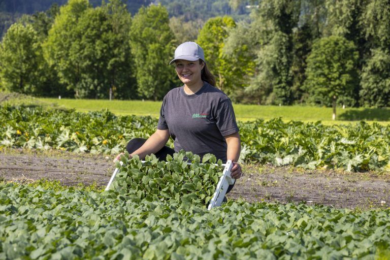 Gemüseanbau in Vorarlberg – Entwicklung, Chancen und Potenziale mit Josef Moosbrugger (LK-Präsident), Harald Rammel (LK-Gemüsebauexperte) und Fabienne und Walter Gehrer, Jungpflanzen und Gemüsebau Gehrer