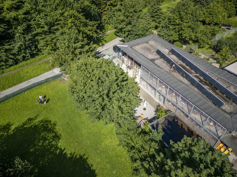 Artenschutzstation soll beim Tierheim gebaut werden mit Katharina Feurstein von der Wildtierhilfe, Fotos auf dem Grundstück, wo die Artenschutzstation entstehen soll Drohne Bild von oben Luftbild Luftaufnahme Drohnenfoto Drohnenbild