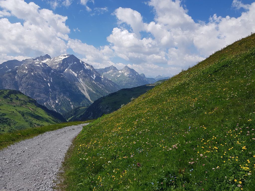 Zwischen Mohnenfluh und Braunarlspitze