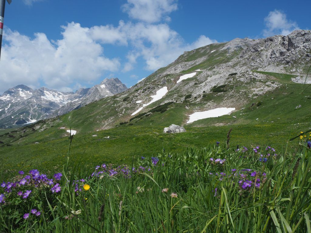 Zwischen Mohnenfluh und Braunarlspitze