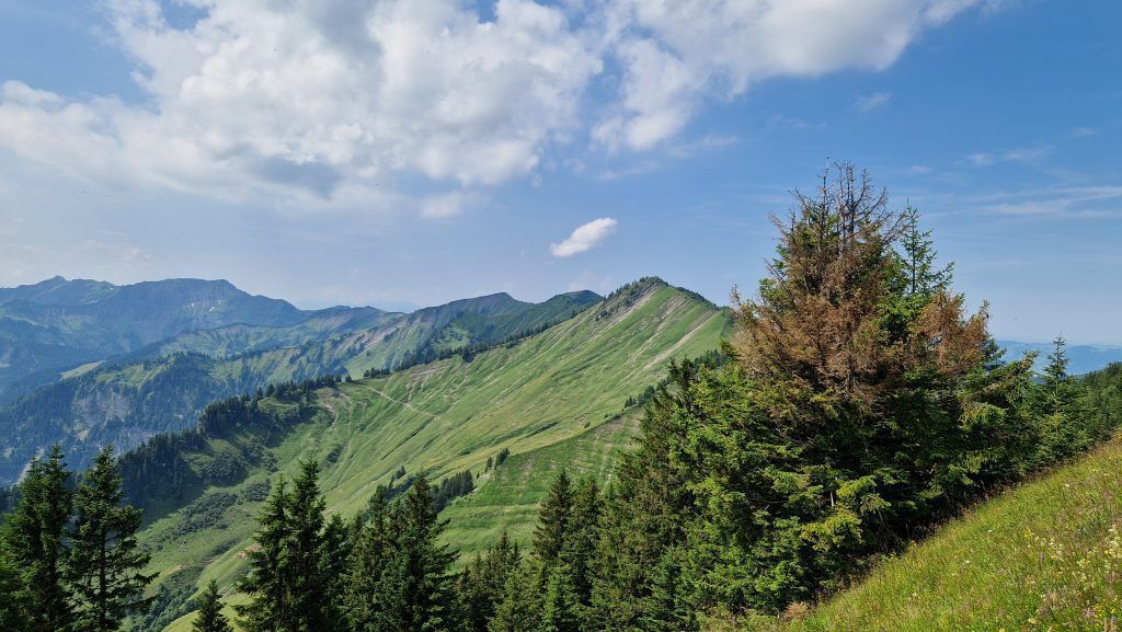 Die Wälder Seite des Dornbirner Firsts