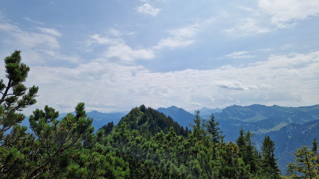 Die Wälder Seite des Dornbirner Firsts