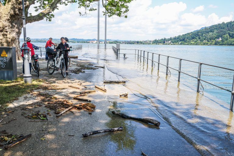 hochwasser bregenz treibholz