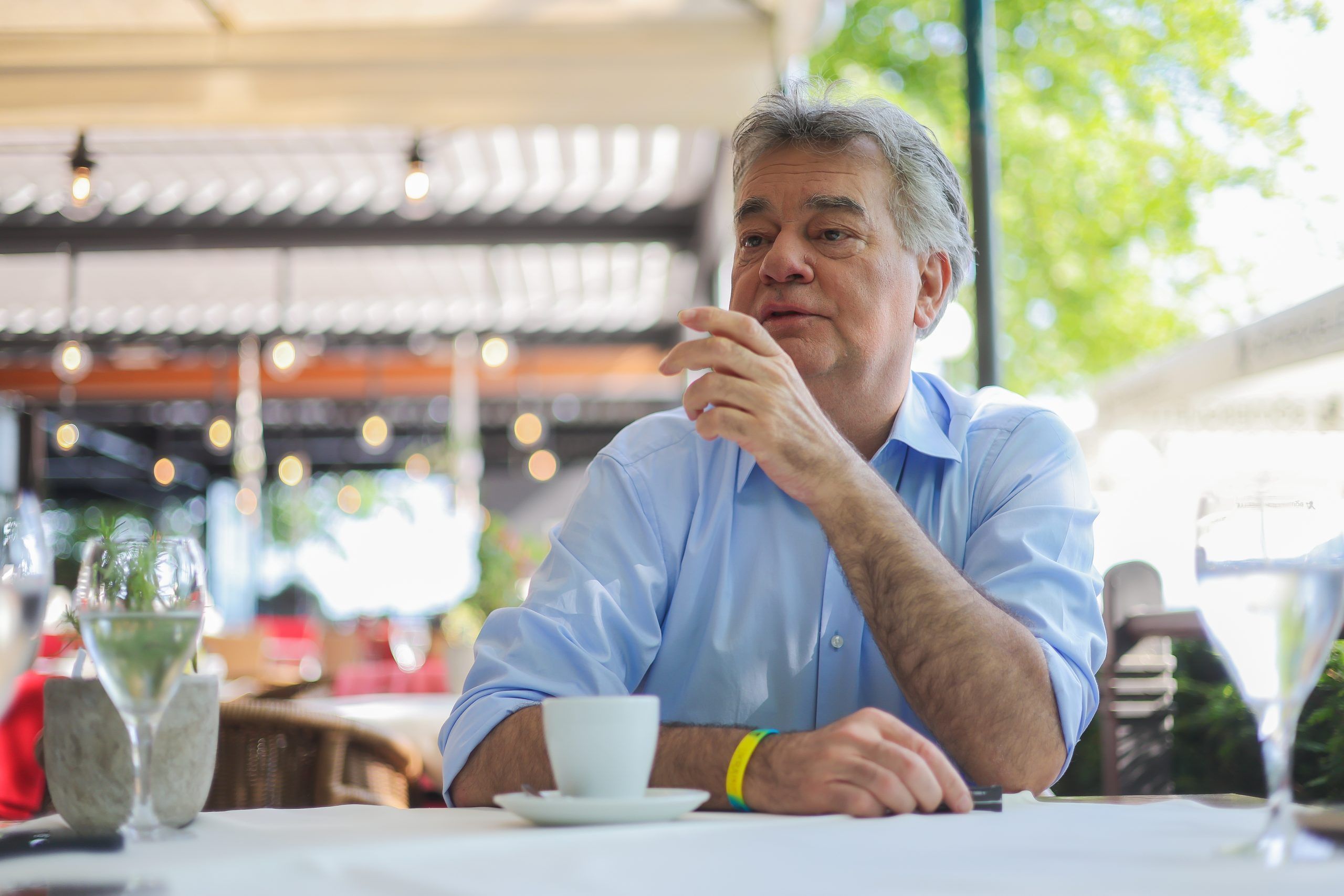 Interview mit Vizekanzler Werner Kogler