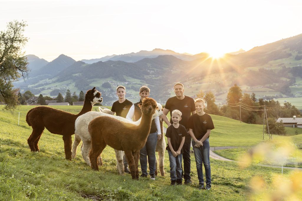 Schwarzenberg bekommt ein Alpaka-Erlebnis-Café
