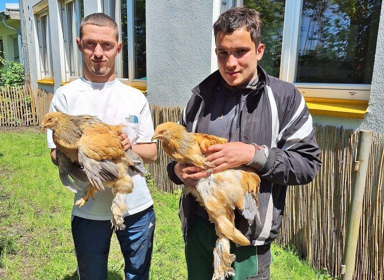 Durch die Verantwortung für die Gesundheit und das Wohlbefinden der Tiere lernen Jugendliche, Risiken einzuschätzen und angemessene Entscheidungen zu treffen, um Probleme zu vermeiden oder zu lösen. - Soziale Kompetenzen durch Geflügelhaltung - Die Dornbirner Jugendwerkstätten präsentierten ein besonderes Bildungsprojekt.