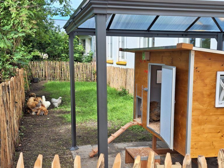 Ab sofort verfügen die Dornbirner Jugendwerkstätten über einen eigenen Hühnerstall. - Soziale Kompetenzen durch Geflügelhaltung - Die Dornbirner Jugendwerkstätten präsentierten ein besonderes Bildungsprojekt.
