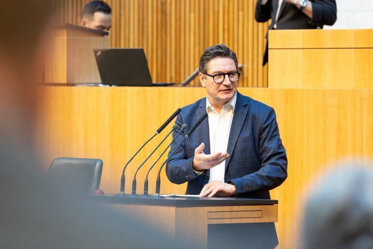Reinhold Einwallner, Nationalrat
