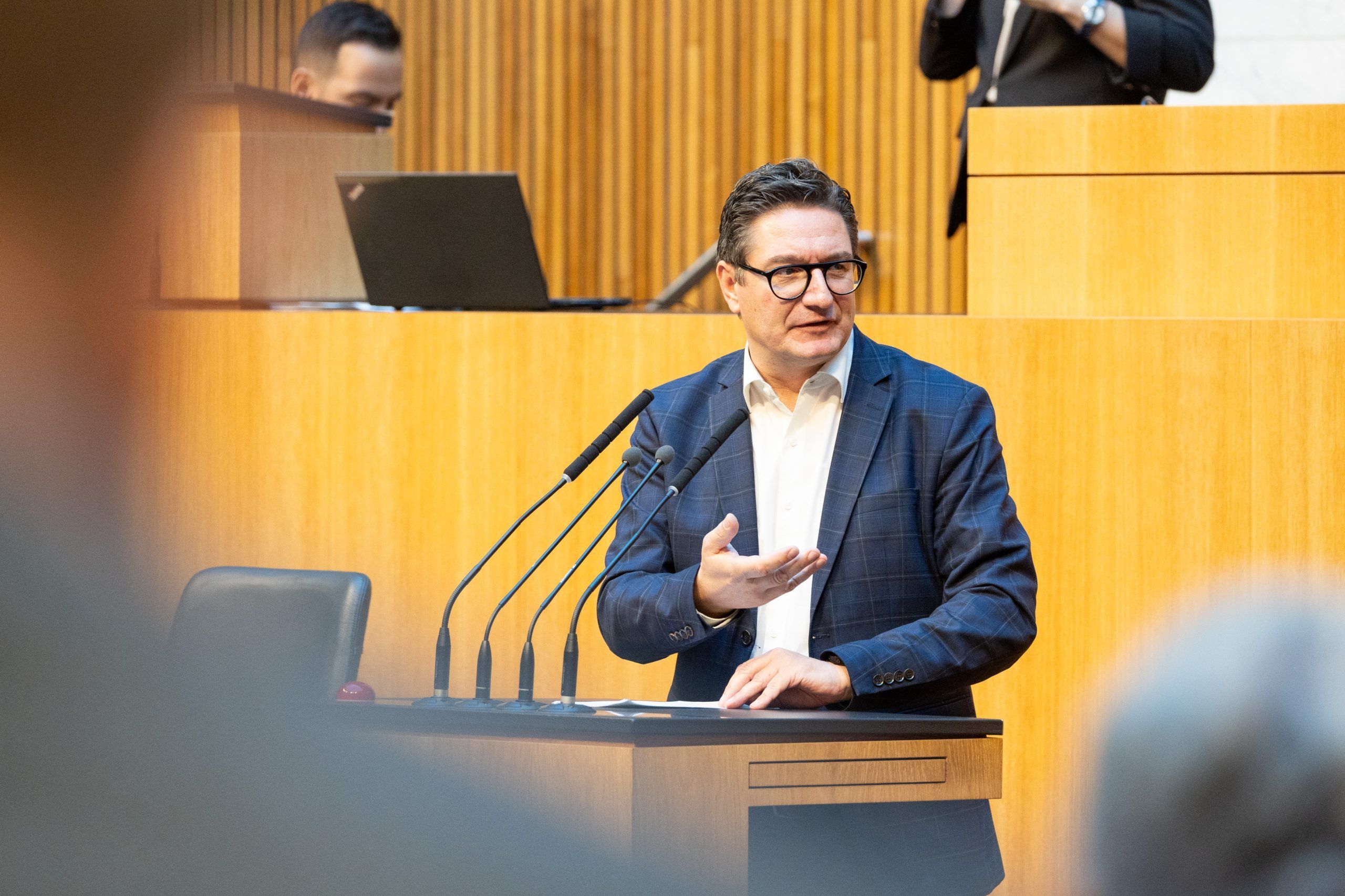 Reinhold Einwallner, Nationalrat